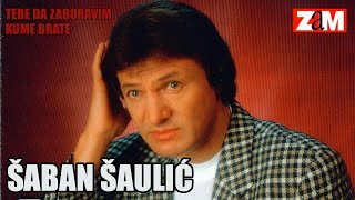 Saban Saulic - Nestali Su Dani Srece - Audio 1998