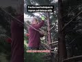 Improve self defense skills with the Hands Techniques Practice #tryit ipman8137#dailyshorts #fitness