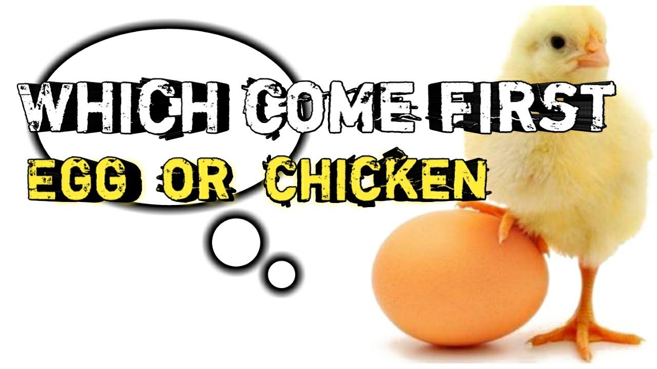 Which Come first, Egg or Chicken ? - YouTube
