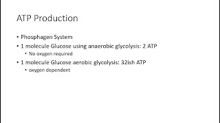 Transition Between Aerobic (slow) and Anaerobic (fast) Glycolysis.