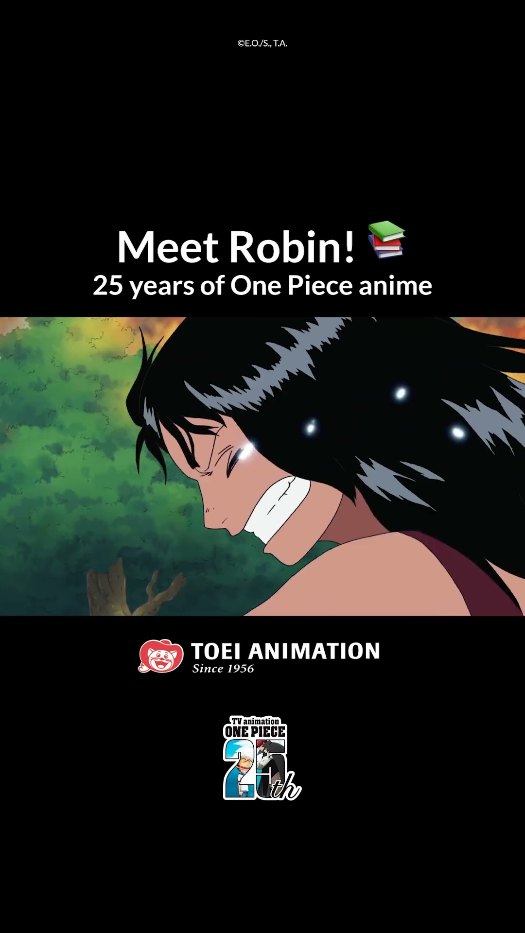 She's got the beauty AND the brains. It's time to Meet Robin ✨ #robin #onepiece