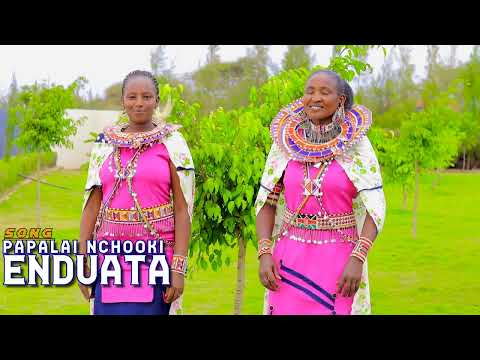 PAPALAI NCHOOKI ENDUATA OFFICIAL VIDEO 