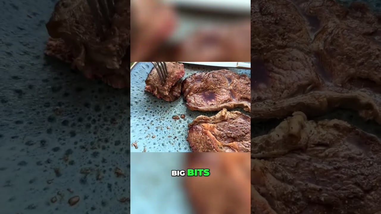 Hungry Dog Waits Patiently For Steak!