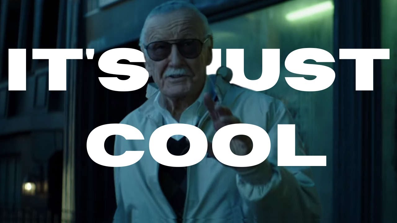 I Loved This Stan Lee Cameo