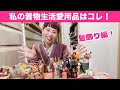 【私の着物生活愛用品】髪飾り
