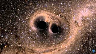 Black Hole Merger Simulation from SXS