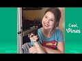 Funny Vines February 2023 (Part 1) TBT Clean Vine