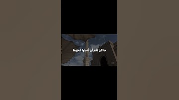 تلاوة للشيخ أحمد حمادي من سورة النمل