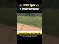 सनकी सूअर ने परिवार को फसाया 😂 । animal shorts । #shorts #ytshorts