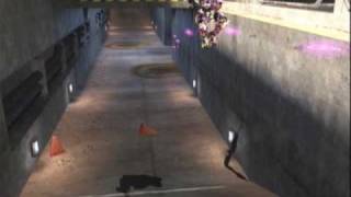 time warp  video