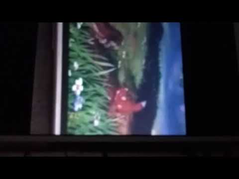 Opening To Go Diego Go Moonlight Rescue 2008 DVD 