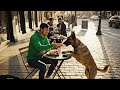  Sharing..? plz be my first SUBSCRIBER “. 1. #Kindness2. #DogLovers3. #Respect4. #Humanity5. #Shorts