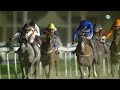 RM 40 Al Rayyan Race 5 -  Al Jumayliyah Cup