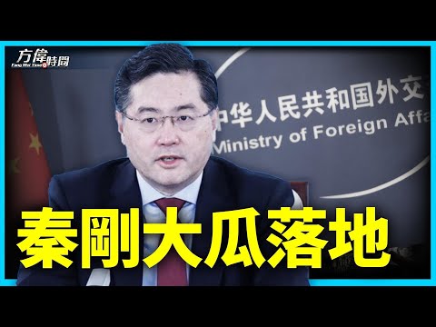 中共公布秦刚处理 问题比答案还多