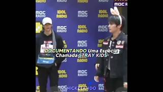Documentando Uma Espécie Chamada Stray Kids #shorts #straykids #fyp #youtubeshorts #vaiprofycaramba