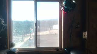 Tehachapi Live Webcam - Golden Hills