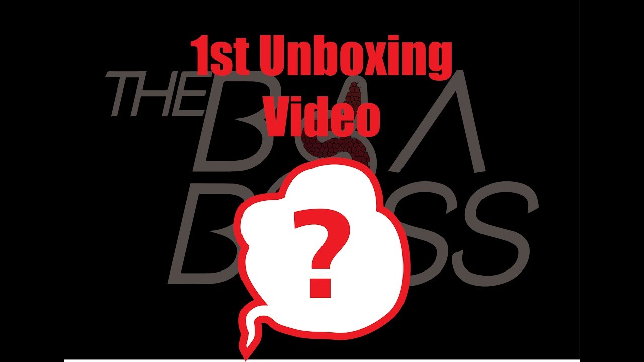 video phone beyonce mp3 Unboxing Boa 1st Snake EVER SHIPPED