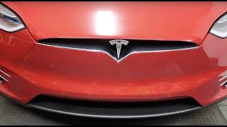 Day 359 Tesla Ruby Rest Day