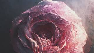 Lost in Algorithms - Moonlit