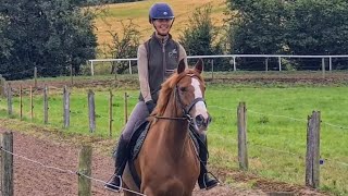 Let's talk saddles.... but first, the GALLOPS! Let's talk saddles.... but first, the GALLOPS!