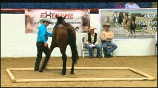 Wild Horse, Wild Ride - "The Competition"