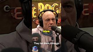 Something is building in America!💥#jre #michaelshellenberger #border #terrorism #iranisraelwar