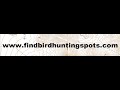 Find bird hunting spots on public land five tips help you maximize your walkin hunting success