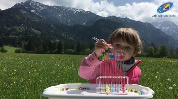 Pompom color sorting | Activities for preschool | Tweezers activities