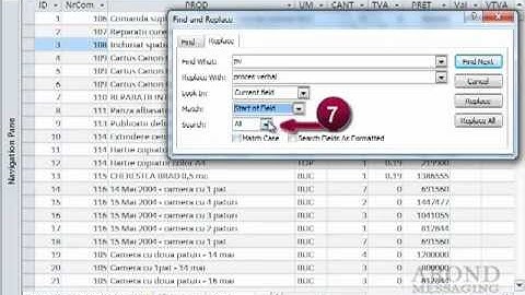 Using Access 2010 - Replace Data by Using Find and Replace