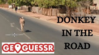 Donkey in the road GEOGUESSR