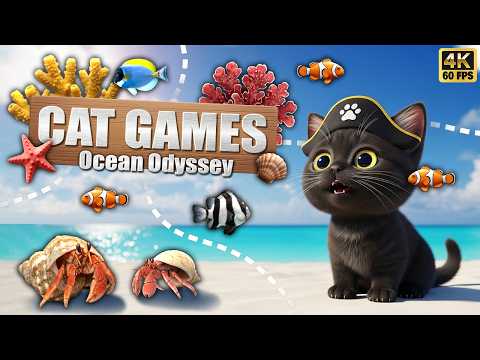 CAT GAMES 🐠 Ocean Odyssey - Realistic 3D Sea Creatures Compilation 🐚 8 HOURS 😻 Vol 4