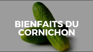 Les Bienfaits Du Cornichon