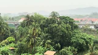 Tropical Rain on a Thai Railway | 1 Hour Heavy Rain Sounds for Sleep & Focus