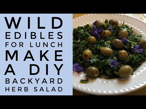 Wild Edibles for Lunch Make a DiY Backyard Herb Salad