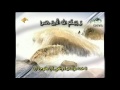 الشيخ محمد عبدالعزيز حصان سورة آل عمران 133 إلى 146 