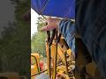 Running one of the last LIVEBOOMS on the! #pipeline #oilandgas @caterpillarinc #pipelayer #fyp