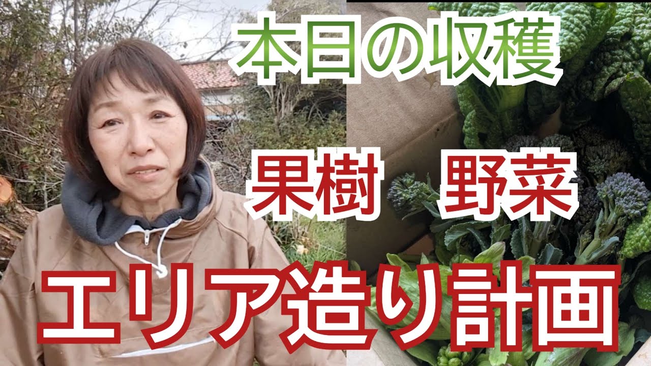 今日の作業と収穫〜悪天候の合間にコツコツと