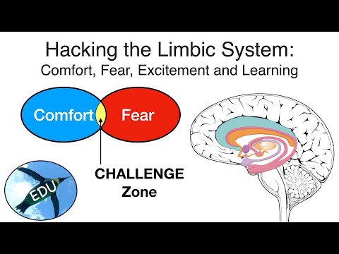 Hacking the Limbic System:  Comfort, Fear, Excitement and Learning