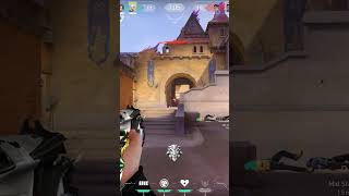 hot vandal |  #valorant