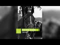 FIRST EVER MILLIONAIRE HORSE | Dahlia | Racing Icons
