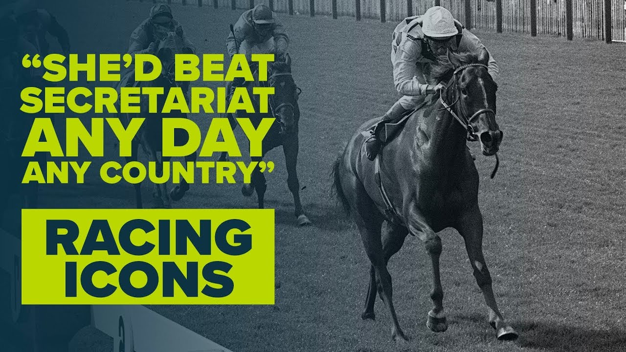 FIRST EVER MILLIONAIRE HORSE | Dahlia | Racing Icons