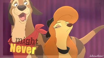 Animash Mep │✿Perfect✿