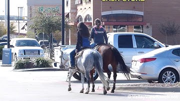 Our One And Only and Dans Peanut Bit - riding in town! - ValleyViewRanch.net