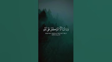 قرآن كريم تلاوة هادئة ارح سمعك #قرآن #أحسن_تلاوت_القرأن_الكريم #quran #المصحف #اسلاميات  #الرحمن