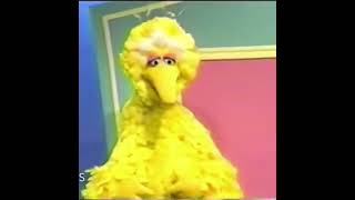 Big Bird breaks down your door #bigbird #sesamestreet #memes