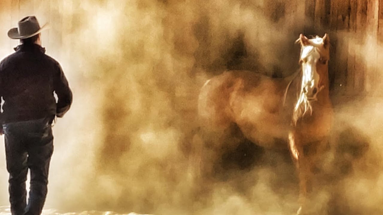 Live With Steve Rother