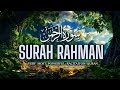Surah Ar-Rahman | Very Powerful Racitaiton | Surat Rahman Ar Rahman Very Sleeping QM Relax
