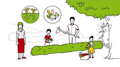 How landscape approaches can contribute to find solutions for a sustainably managed landscape