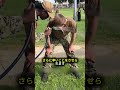 催涙スプレーを浴びた兵士たちの過酷な訓練 😨🔥