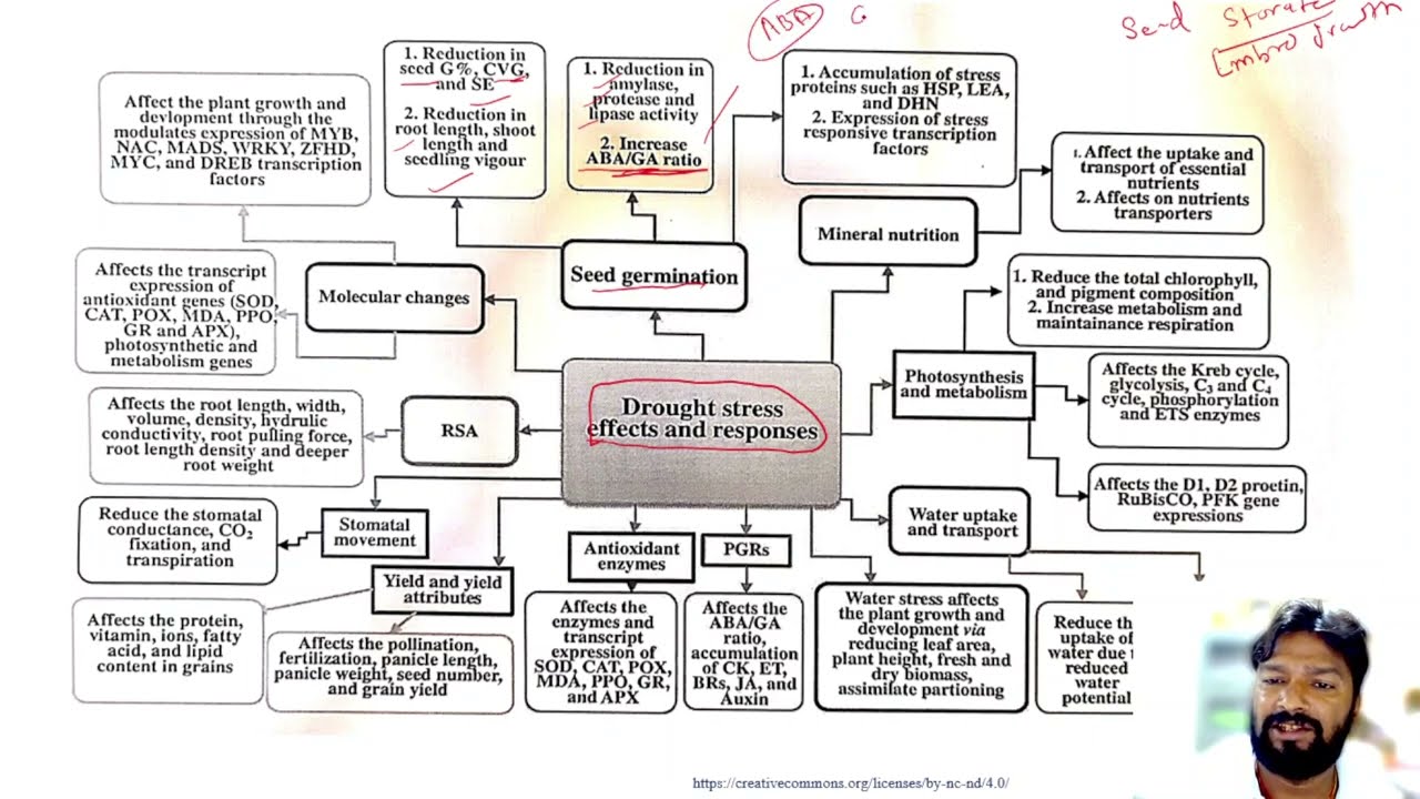 Drought stress Biology